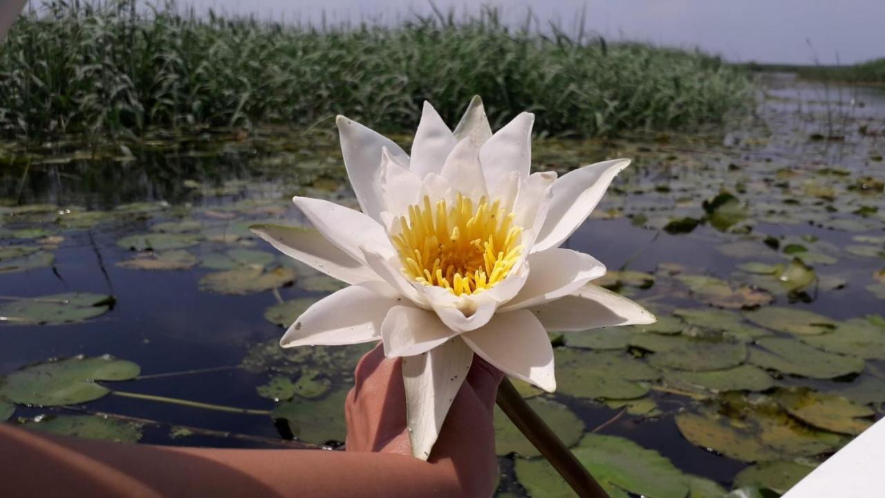 Mineri Delta Mayanka מראה חיצוני תמונה